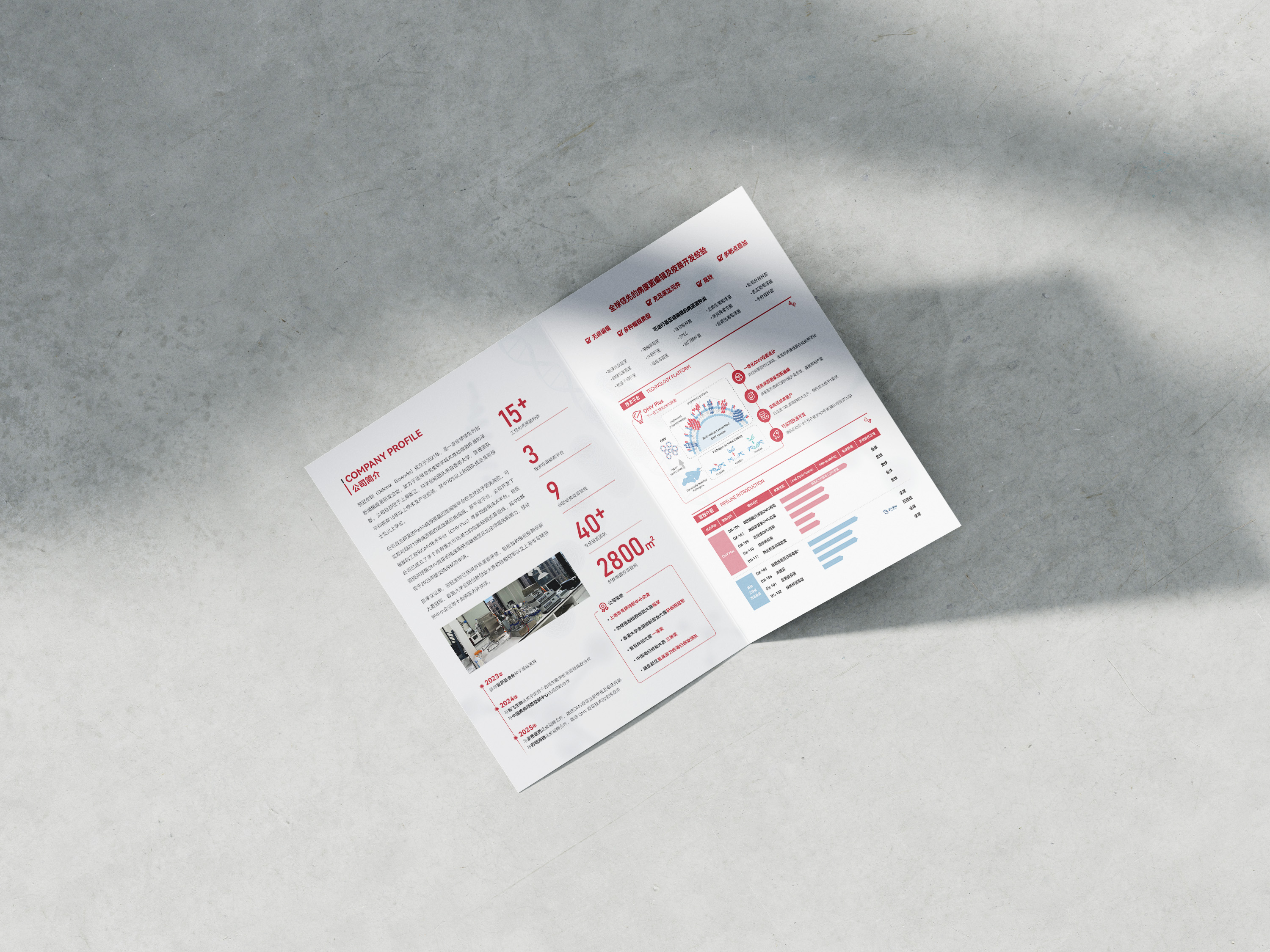 Free_Folded_A5_Flyer_Mockup_4.jpg